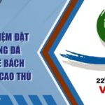 Kinh Nghiệm Đặt Kèo Bóng Đá Seagame Bách Thắng Từ Cao Thủ