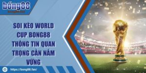 Soi Kèo World Cup BONG88 Thông Tin Quan Trọng Cần Nắm Vững